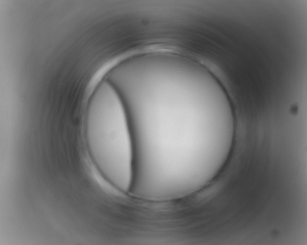 X0000114390941200910161029