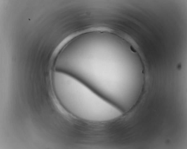 X0000114390947200910161029