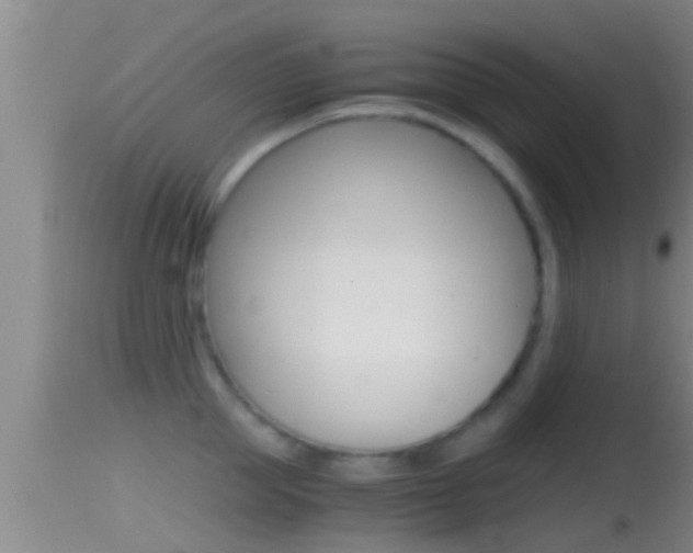 X0000114390953200910161029