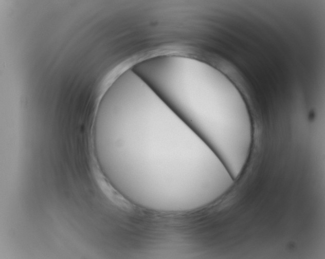 X0000114390954200910161029