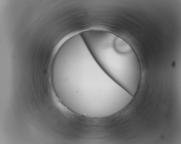 X0000114390955200910161029