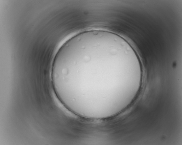 X0000114390957200910161029