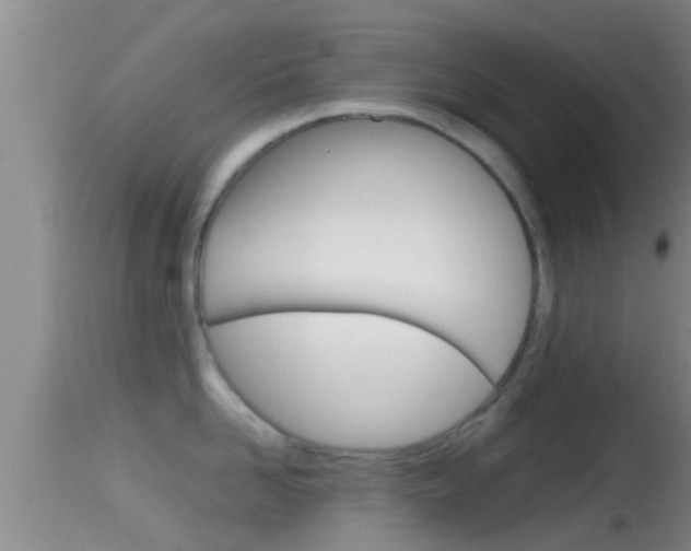 X0000114390958200910161029