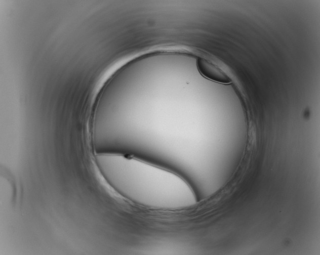X0000114390959200910161029