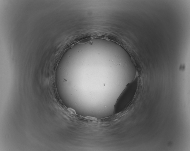 X0000114390961200910161028