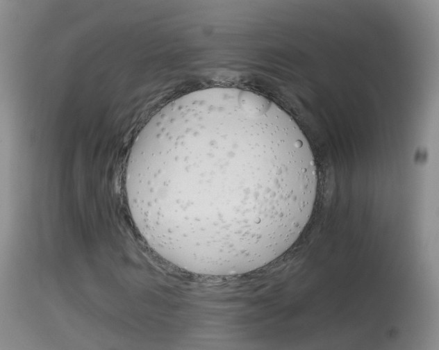 X0000114390962200910161028