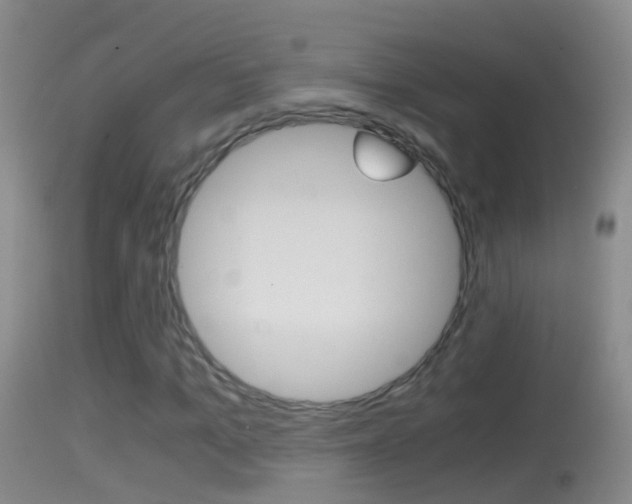 X0000114390965200910161028