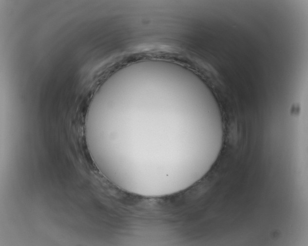 X0000114390966200910161028