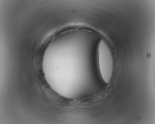 X0000114390967200910161028