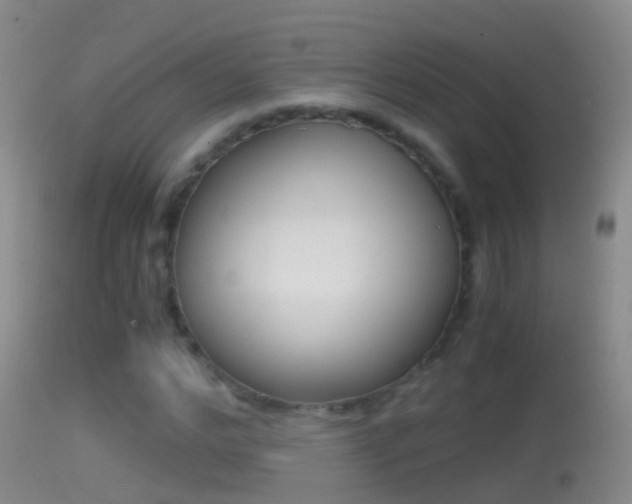 X0000114390968200910161028