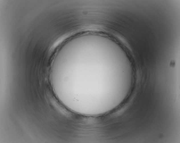X0000114390970200910161028