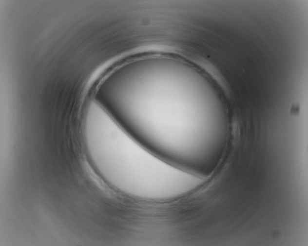 X0000114390972200910161028