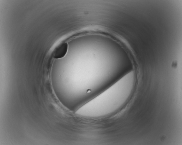 X0000114390973200910161028