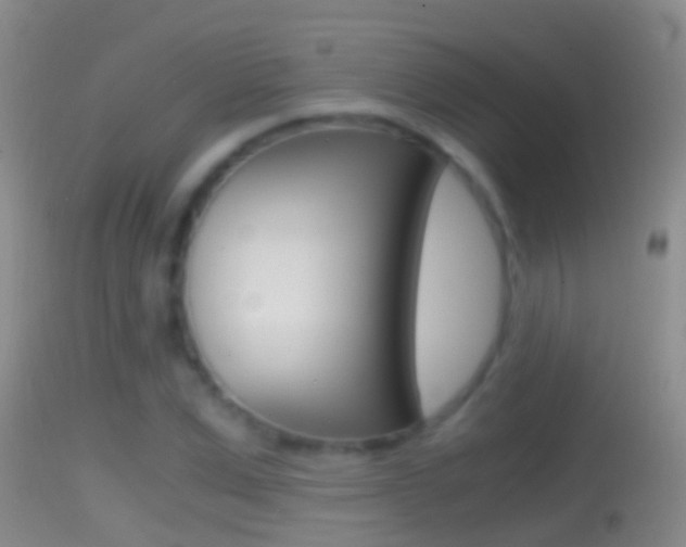 X0000114390975200910161028