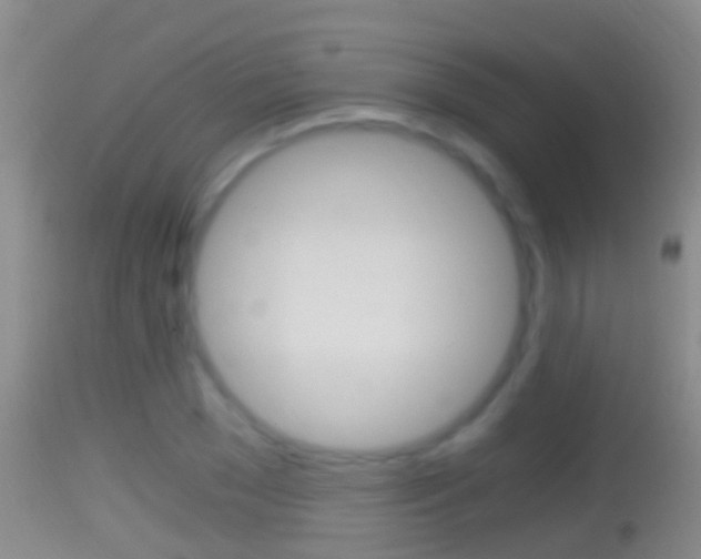 X0000114390977200910161028
