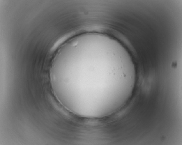 X0000114390978200910161028