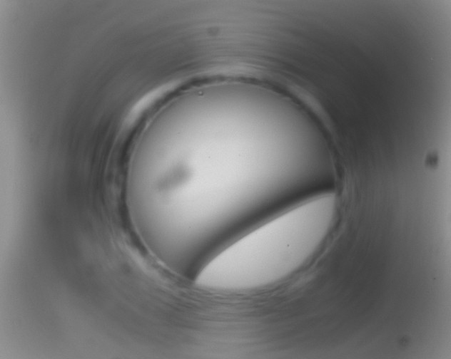 X0000114390979200910161028