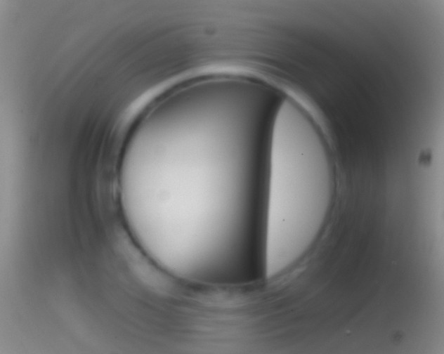 X0000114390980200910161028