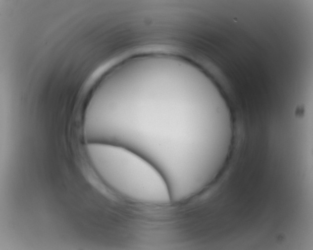 X0000114390982200910161028