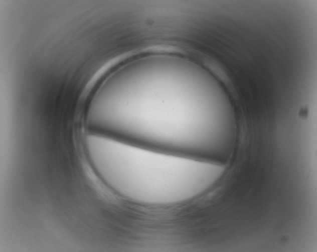 X0000114390984200910161028