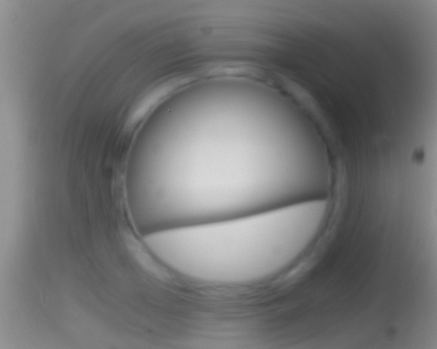 X0000114390985200910161028