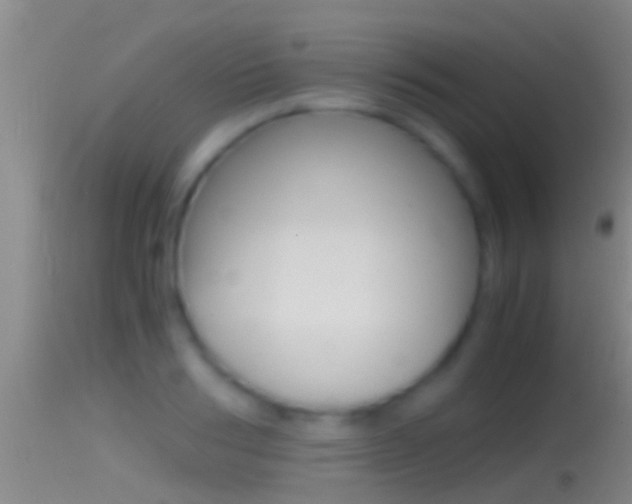 X0000114390986200910161028