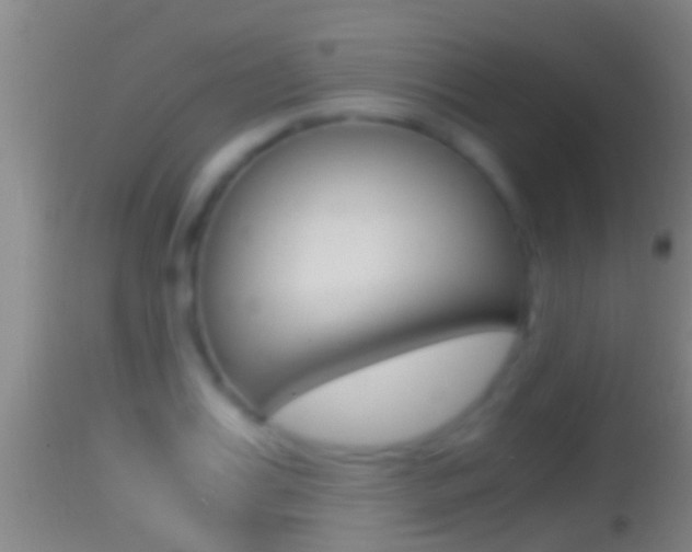X0000114390987200910161028
