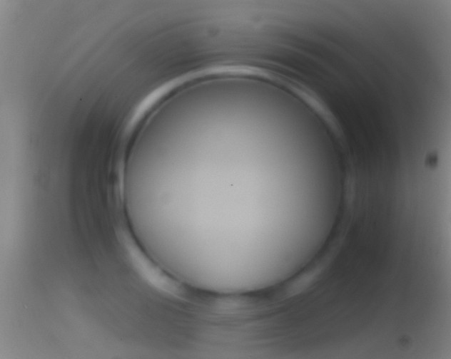 X0000114390988200910161028