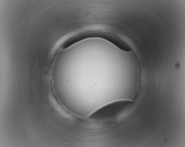X0000114390989200910161028