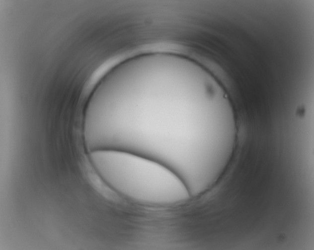 X0000114390990200910161028