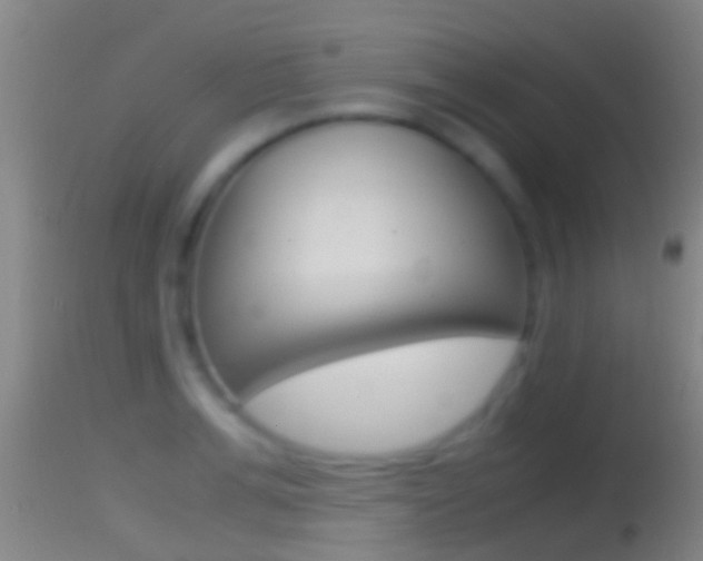 X0000114390991200910161028