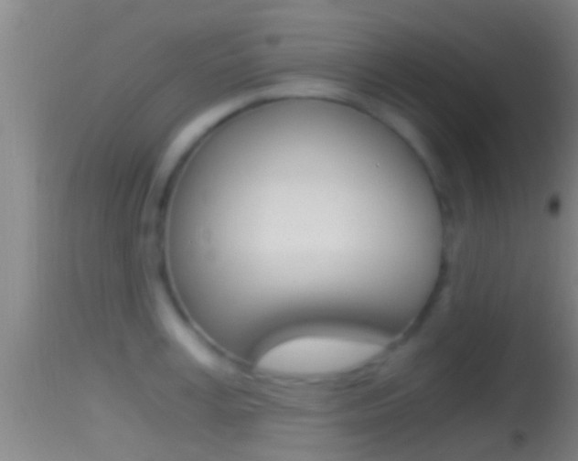 X0000114390995200910161028