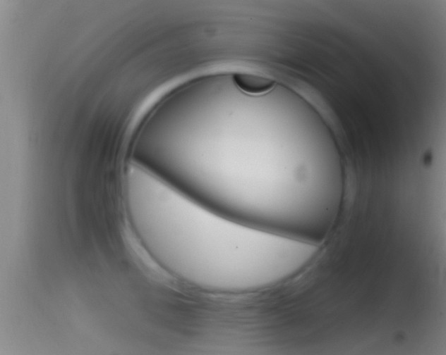 X0000114390996200910161028
