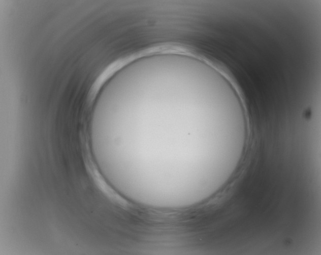X0000114390997200910161028