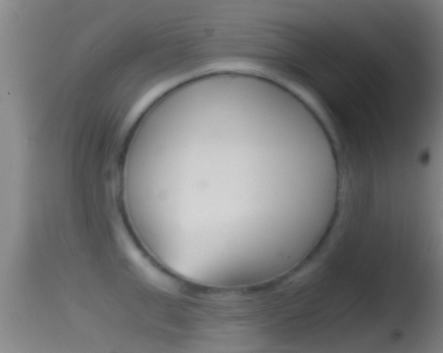 X0000114390999200910161028