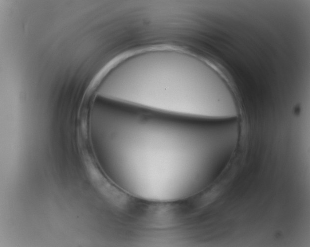 X0000114391000200910161028