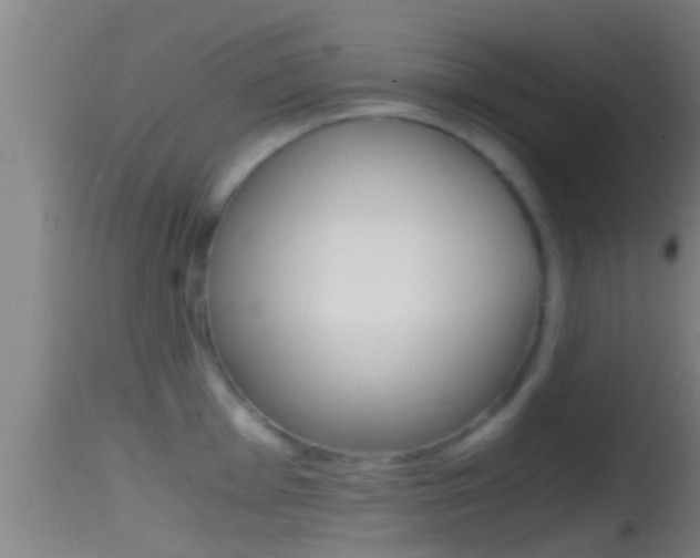X0000114391001200910161028
