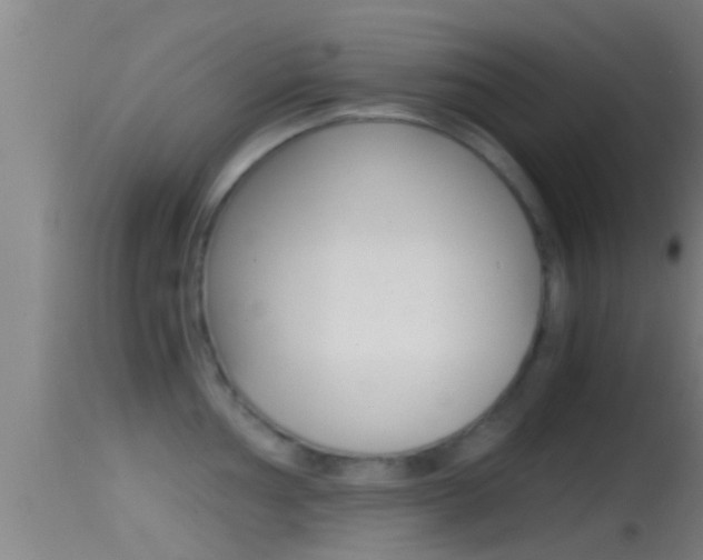 X0000114391002200910161028