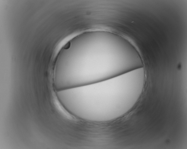 X0000114391003200910161028