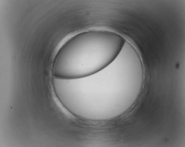 X0000114391005200910161028