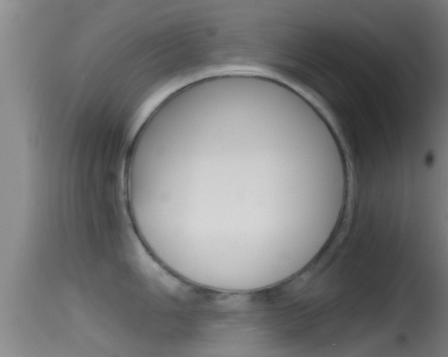 X0000114391006200910161028