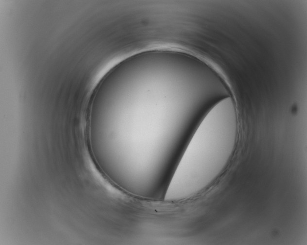 X0000114391007200910161028