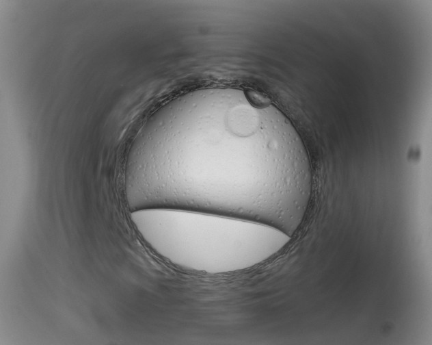 X0000114391009200910161027