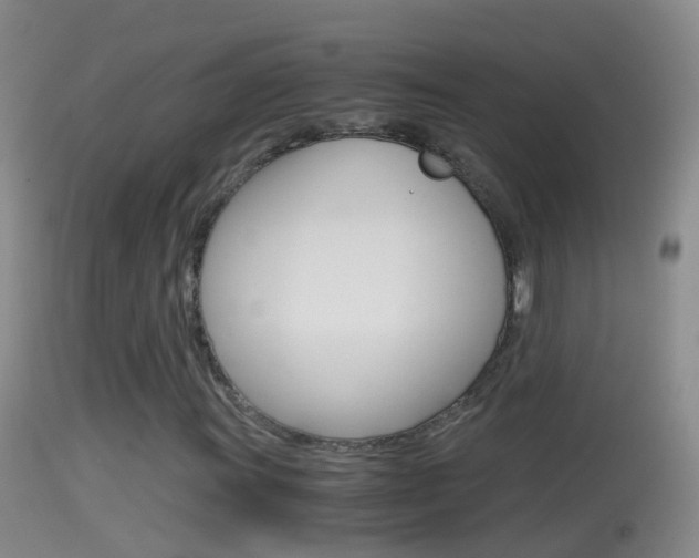 X0000114391011200910161027