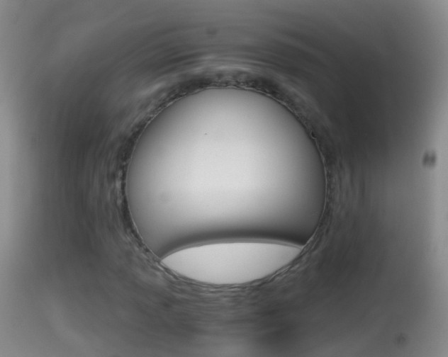 X0000114391013200910161027