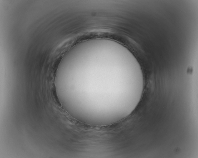X0000114391014200910161027