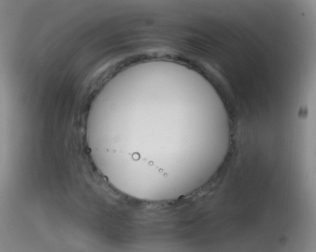 X0000114391015200910161027