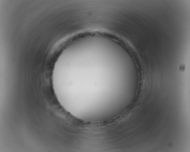 X0000114391016200910161027