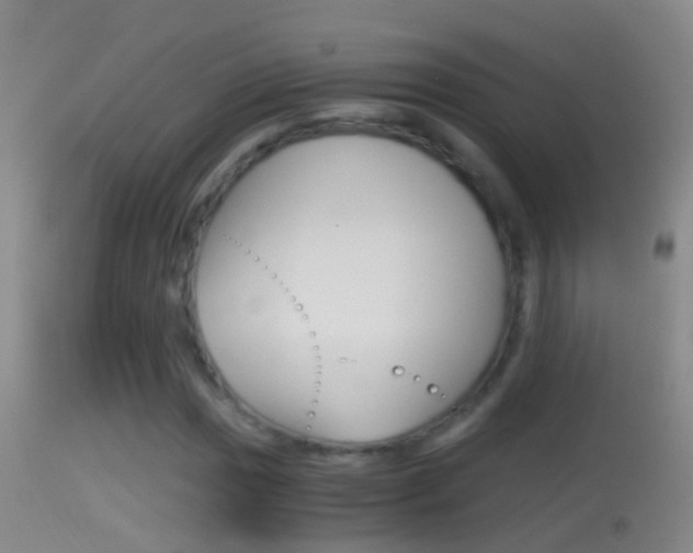 X0000114391017200910161027