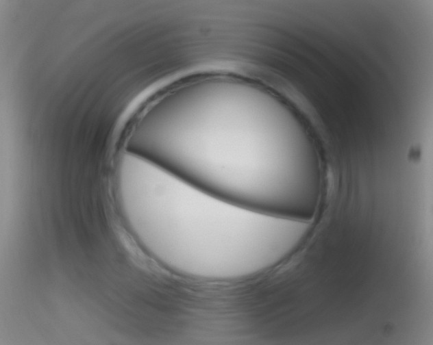 X0000114391020200910161027